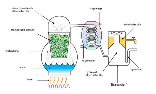 Wat is etherische olie?