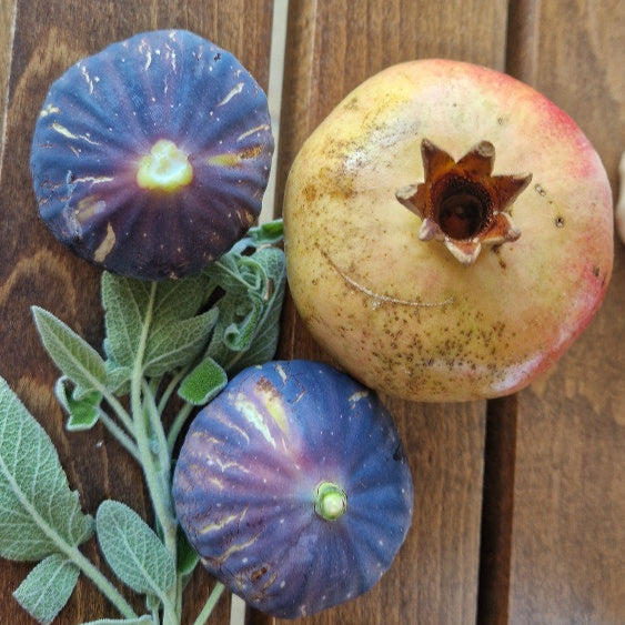 Workshop Thee en Kombucha ( incl scoby) zaterdag 28 juni van 14u tot 16.30u