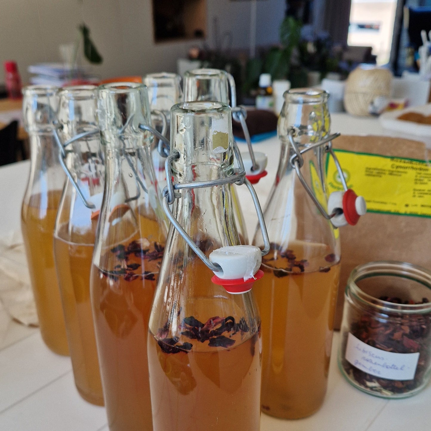 Workshop Thee en Kombucha ( incl scoby) zaterdag 28 juni van 14u tot 16.30u