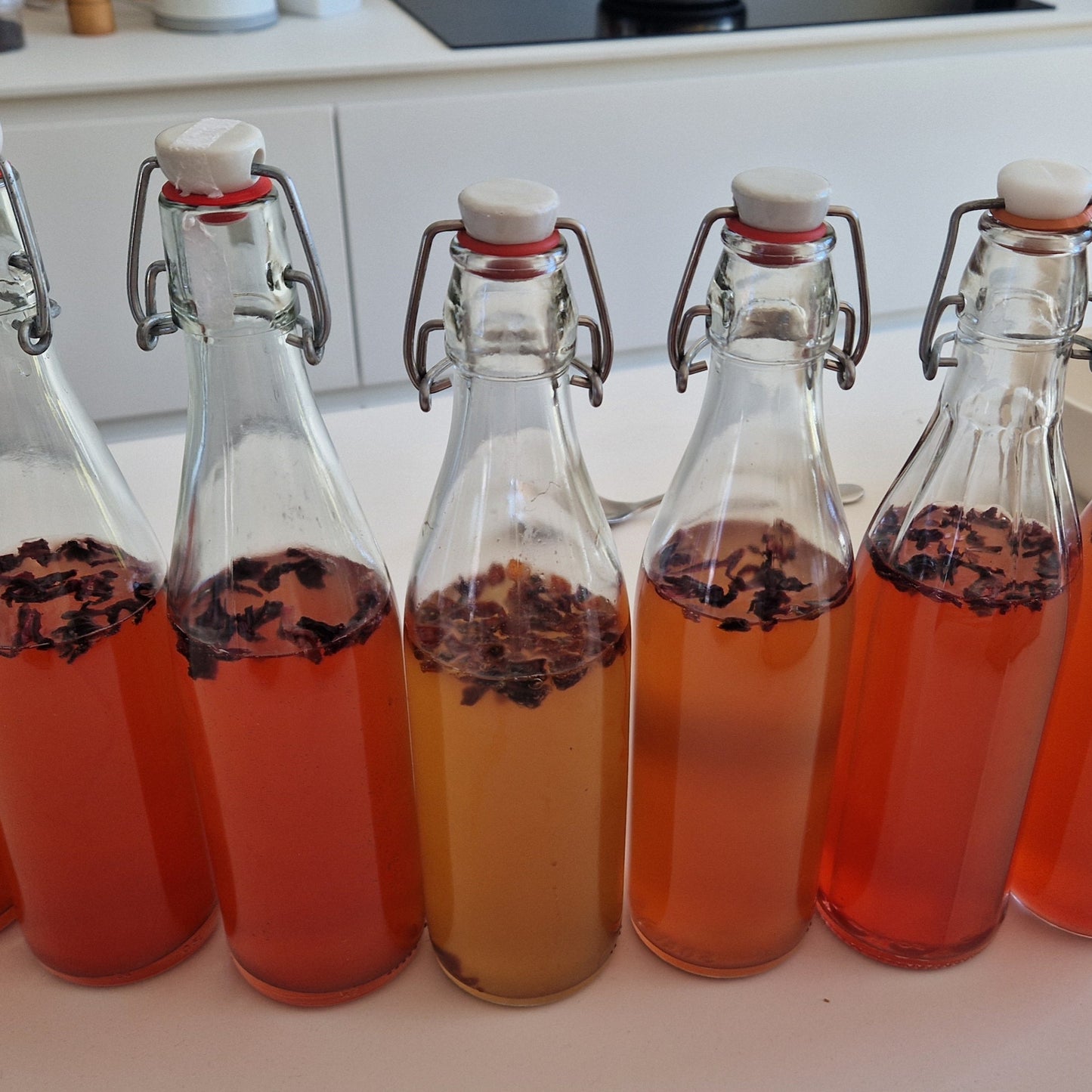 Workshop Thee en Kombucha ( incl scoby) zaterdag 28 juni van 14u tot 16.30u