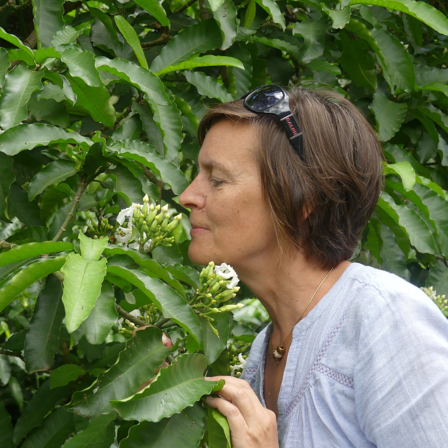 Geschenkbon aromatherapie