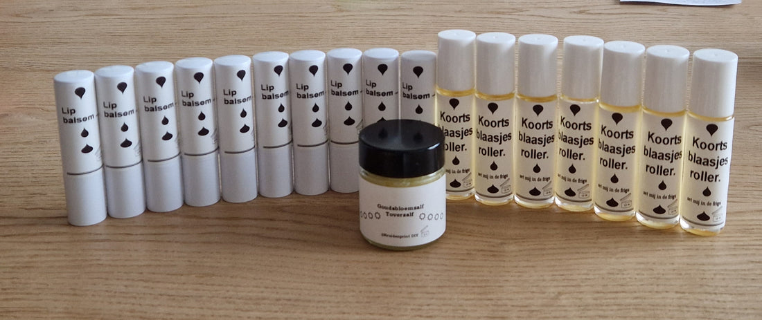 Onze Refill & Recharge  DIY
