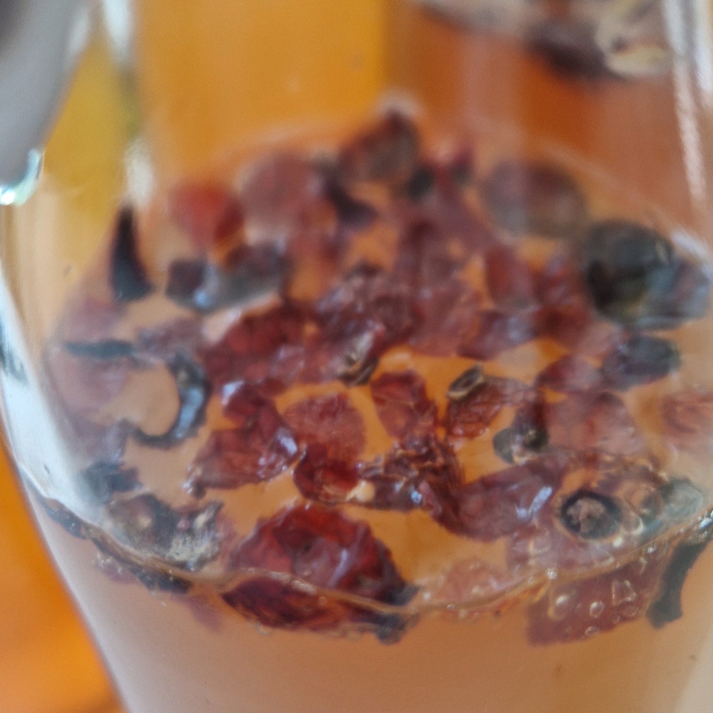 Workshop Thee en Kombucha ( incl scoby)  zaterdag 28 juni van 14u tot 16.30u