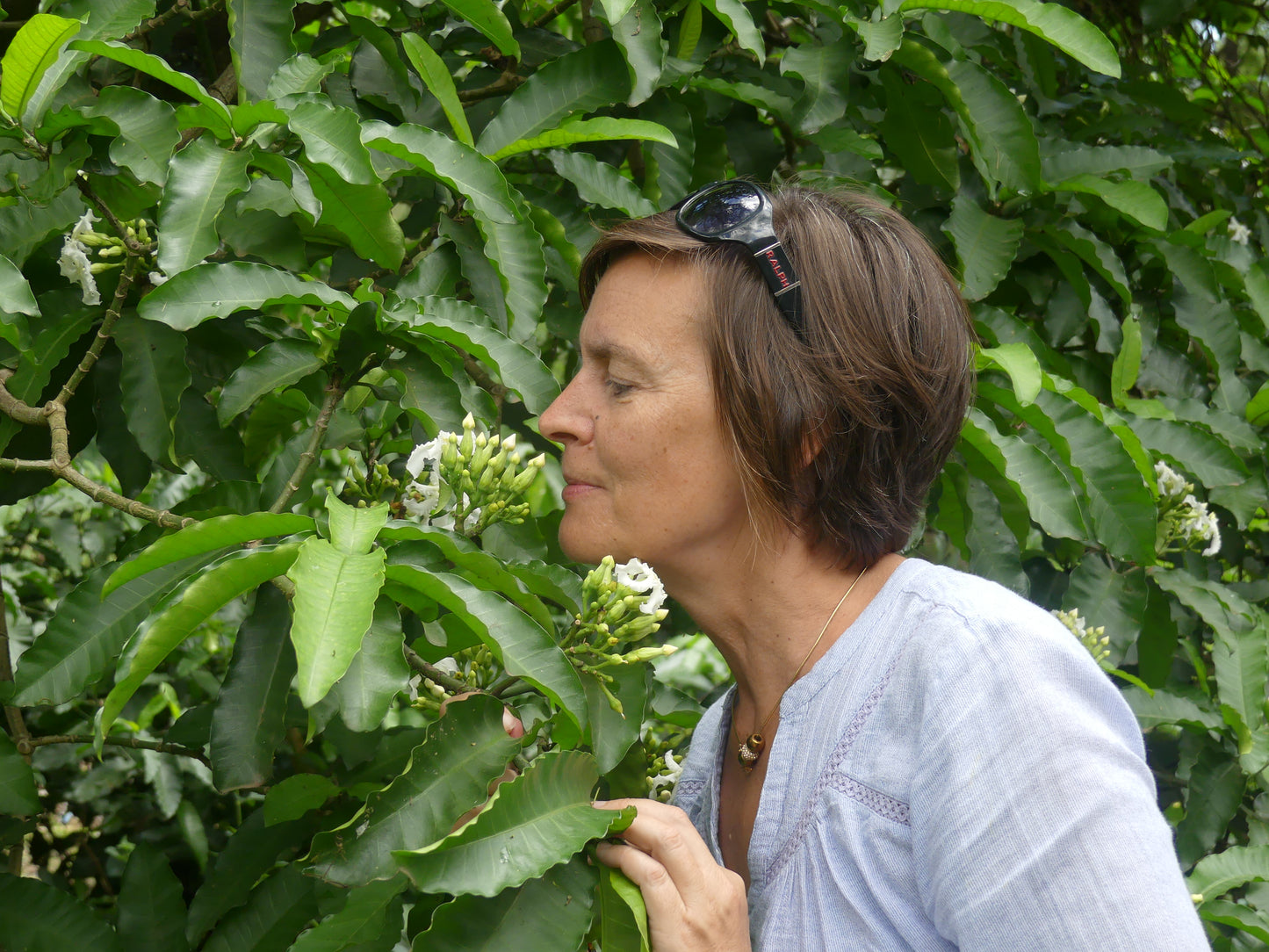 Therapeutische aroma massages